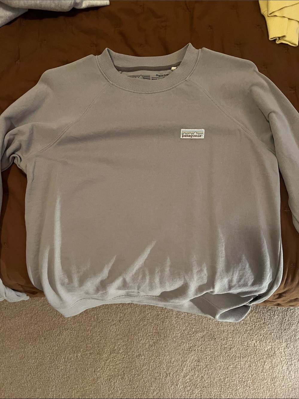 Patagonia women’s Crewneck Sweatshirt in Light Gray